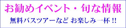 今が旬！おすすめイベント