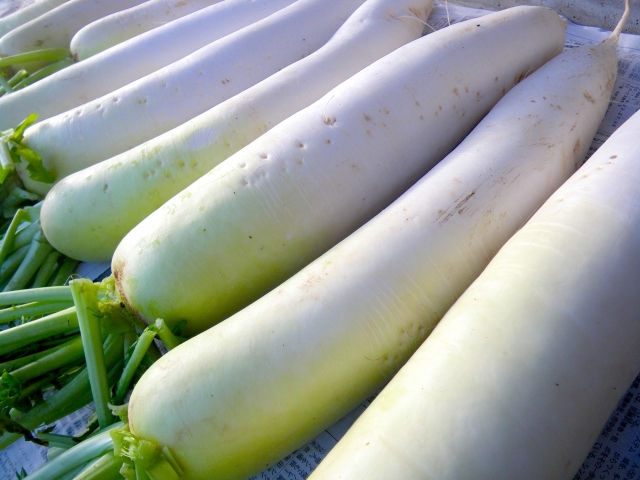 旬の3大ブランド野菜を使った料理をご提供! 旬の3大ブランド野菜を使った料理をご提供!