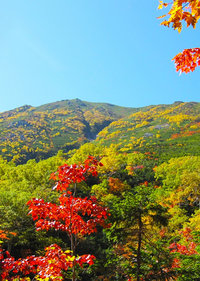 龍王峡散策！無料送迎