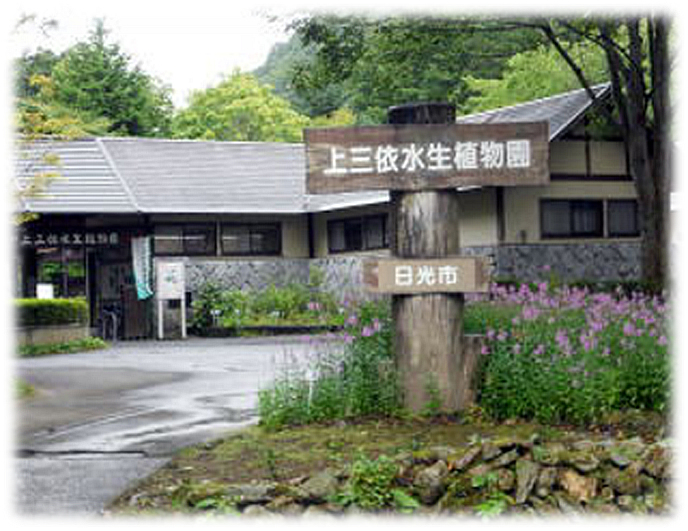 湯西川エリア オプション観光 湯西川エリア オプション観光