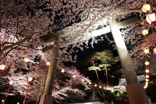 鬼怒川温泉夜桜大宴会2019 鬼怒川温泉夜桜大宴会2019