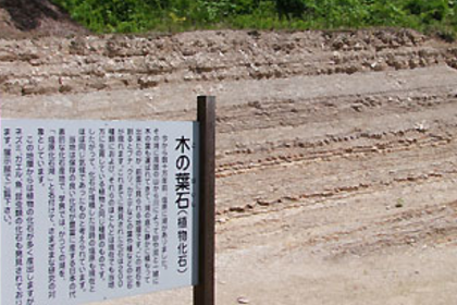 「木の葉化石園」へ無料送迎 「木の葉化石園」へ無料送迎