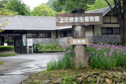「上三依水生植物園」無料送迎!シルバーは入園料無料! 「上三依水生植物園」無料送迎!シルバーは入園料無料!